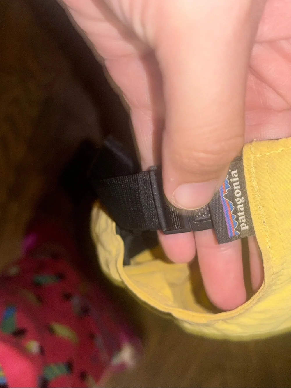 Patagonia Waterfarer cap